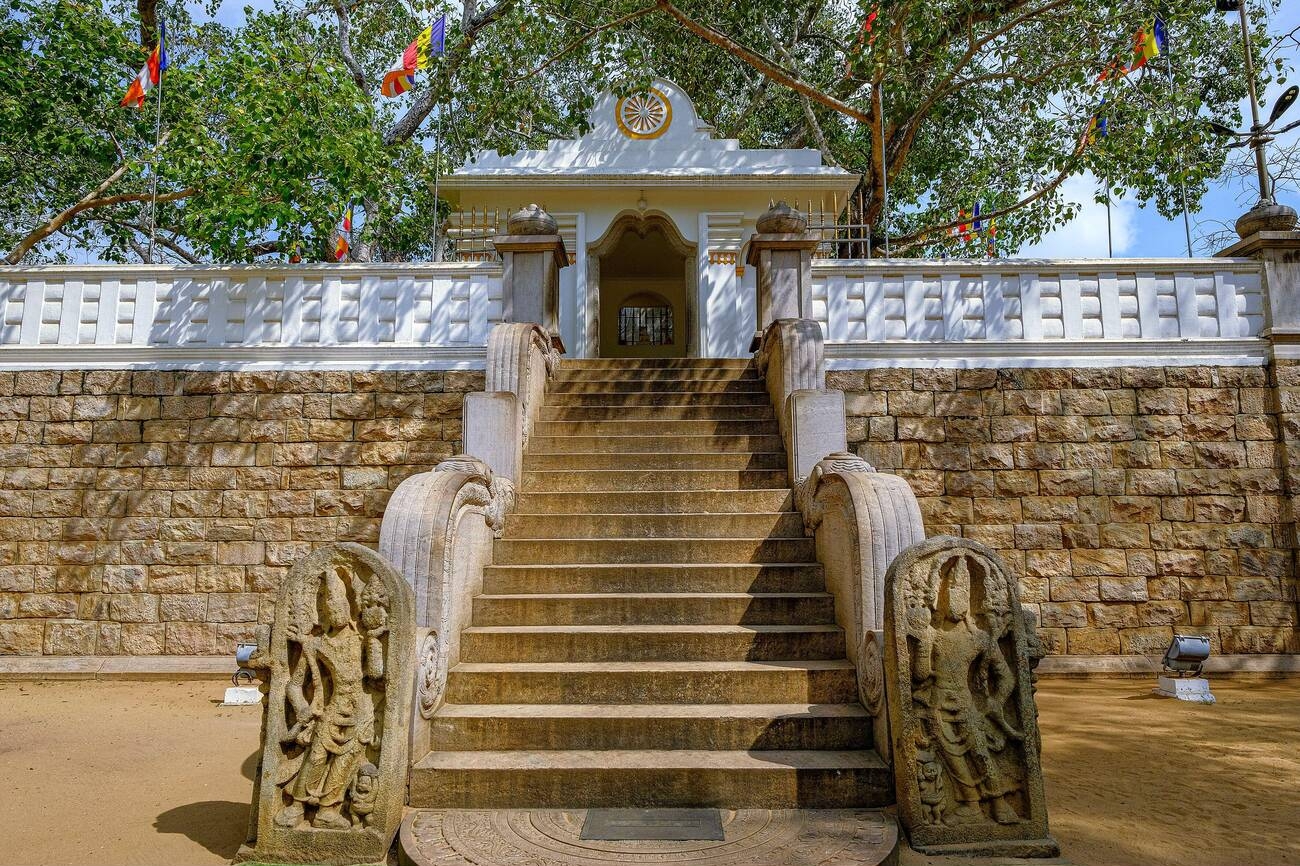 Sri Maha Bodhi