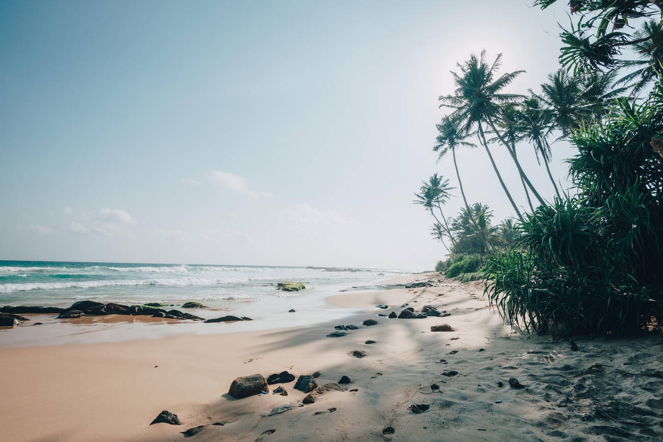 Golden Beaches of Sri Lanka 5