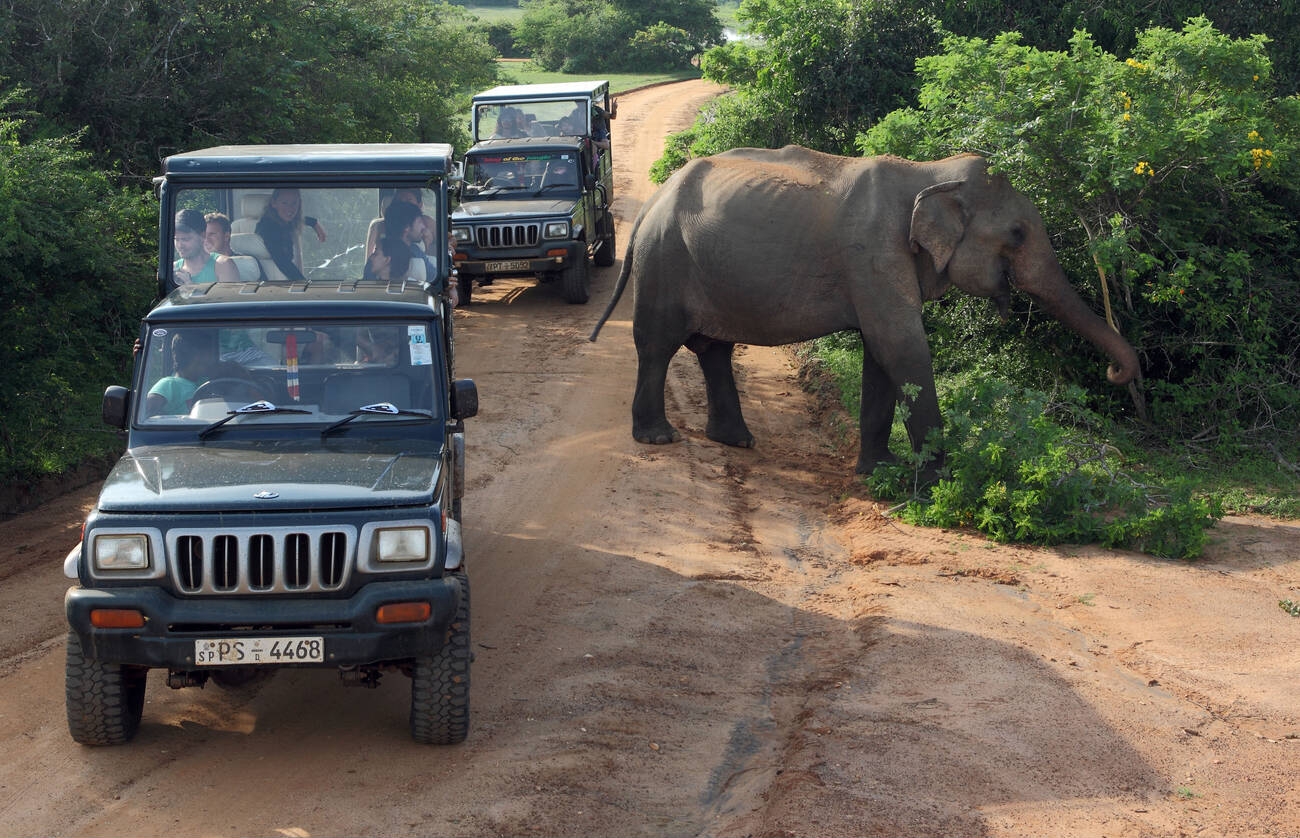 Golden Beaches of Sri Lanka 8
