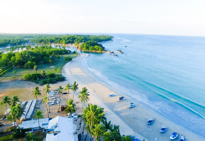 Tropical Beach Trails 7